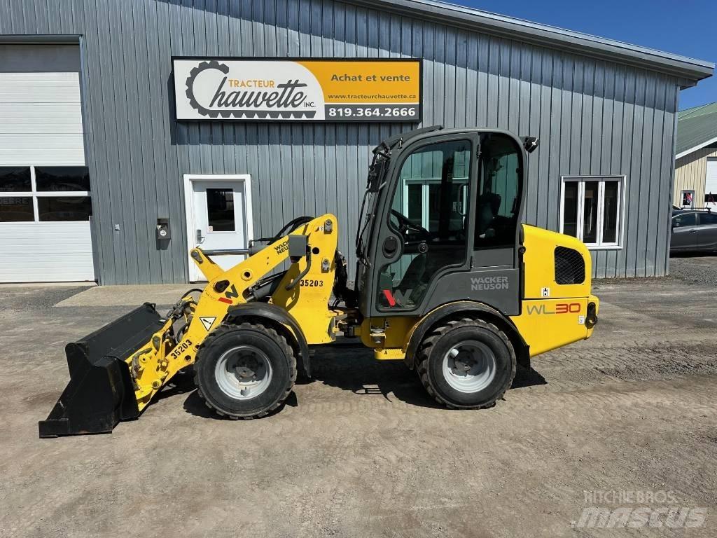 Wacker Neuson WL 30 Фронтальные погрузчики