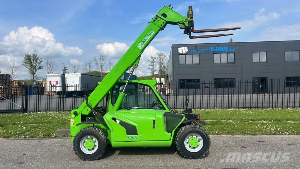 Merlo P25.6 Сельскохозяйственные телескопические погрузчики