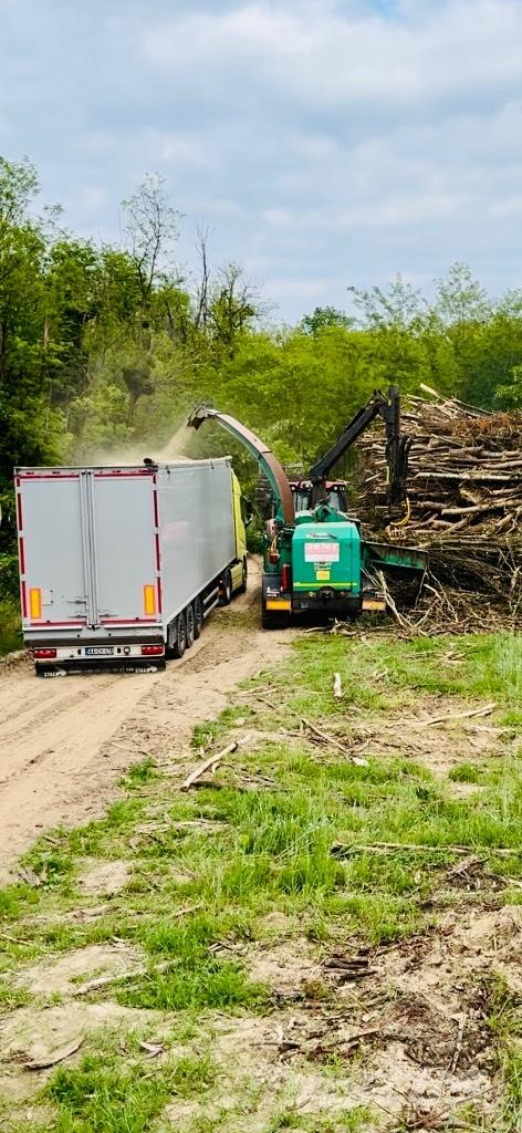 JENZ HEM 561Z Дровоколы