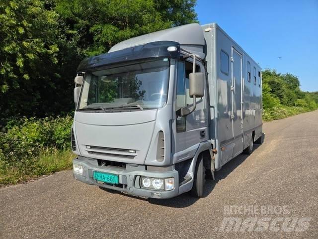 Iveco E 75 Автомобили для перевозки животных