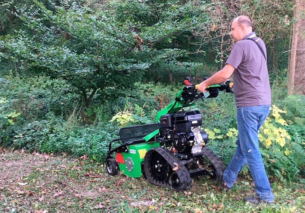 Peruzzo Motofrog 75 Кусторезы