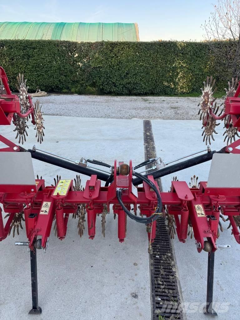  ceccato Olindo - Гребнеобразователи