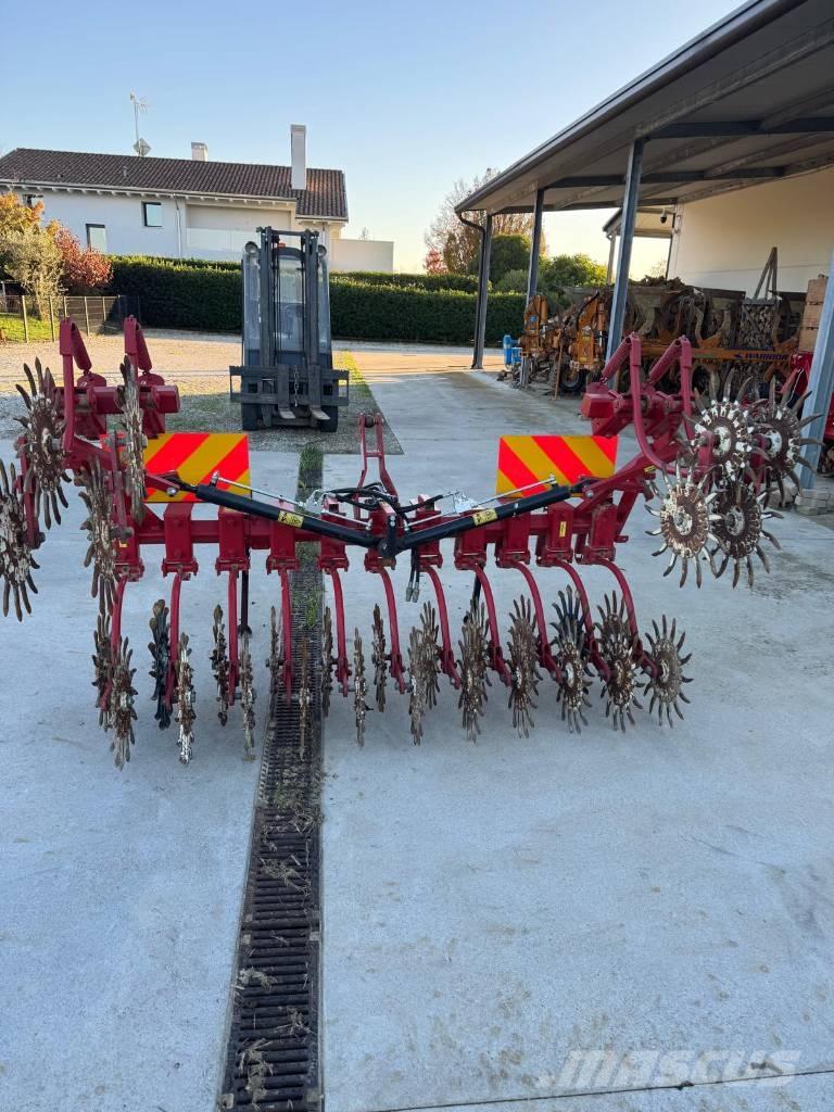  ceccato Olindo - Гребнеобразователи