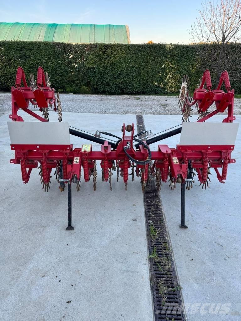  ceccato Olindo - Гребнеобразователи