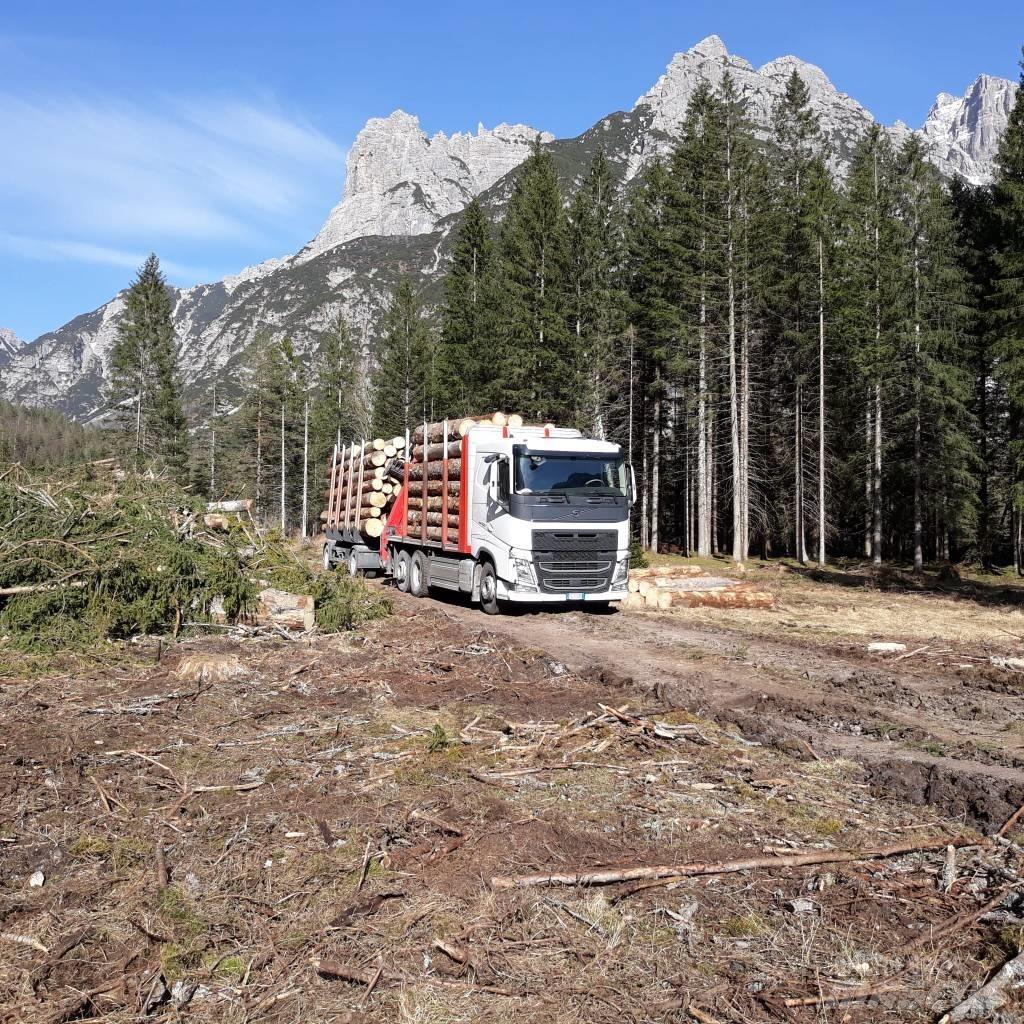 Volvo Truck Лесные прицепы