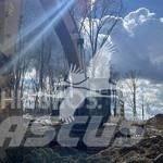 CAT 349EL Гусеничные экскаваторы
