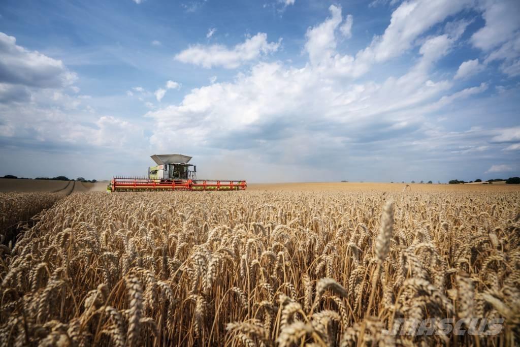 CLAAS Convio 930 Компоненты для зерноуборочных комбайнов
