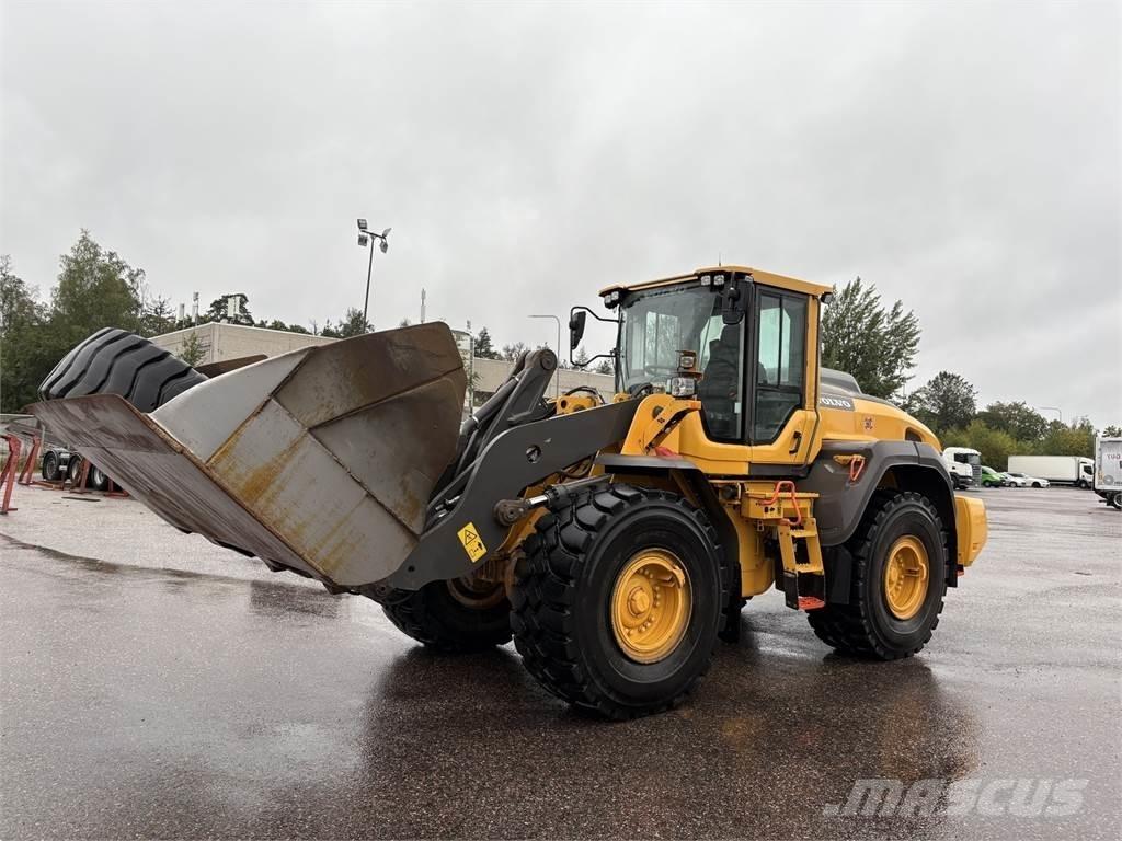 Volvo L110H Фронтальные погрузчики