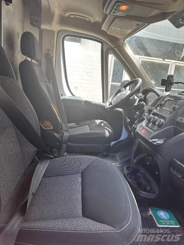Dodge promaster Грузовики-Фургоны