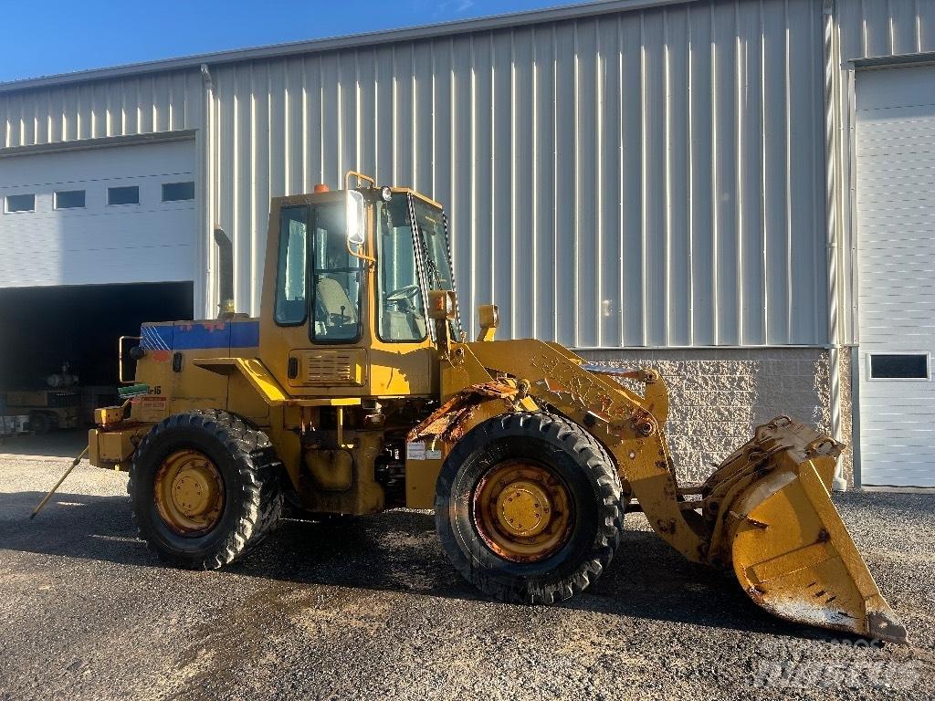 Fiat-Hitachi FR 100 Фронтальные погрузчики