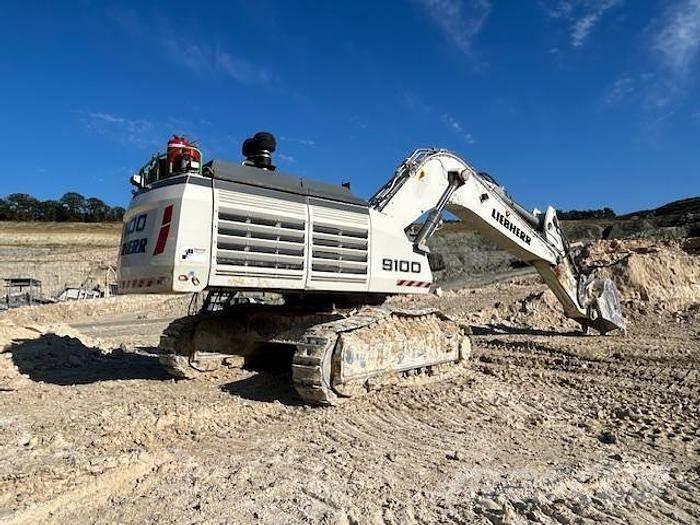 Liebherr R9100 Специальные экскаваторы