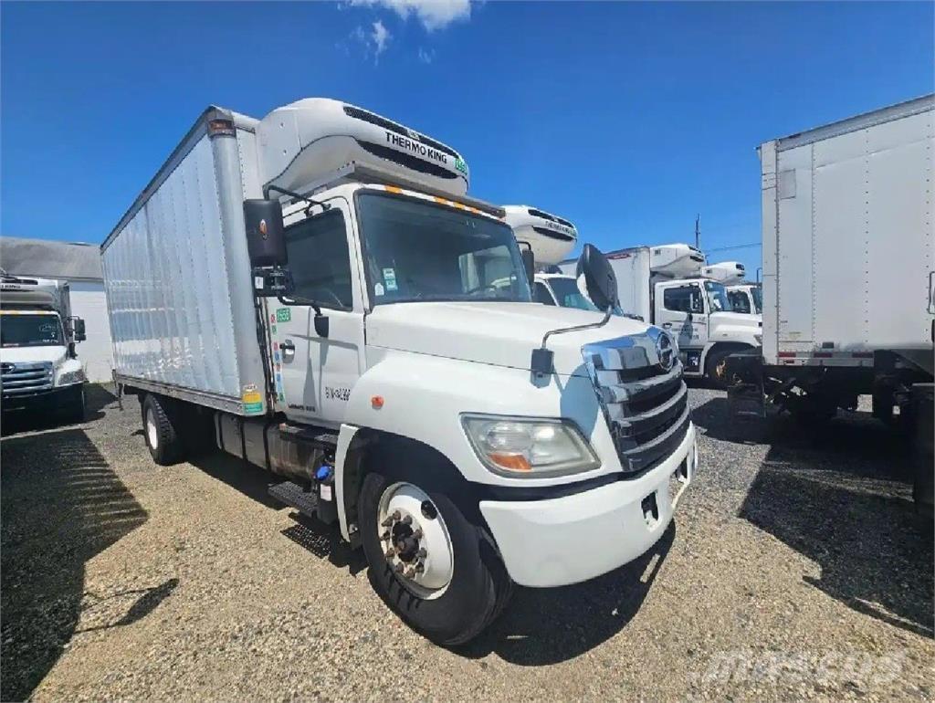 Hino 338 Грузовики-Рефрижераторы