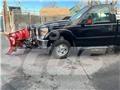 Ford F 350 Грузовики-платформы/боковая разгрузка