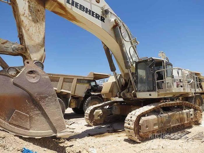 Liebherr R9150 Специальные экскаваторы