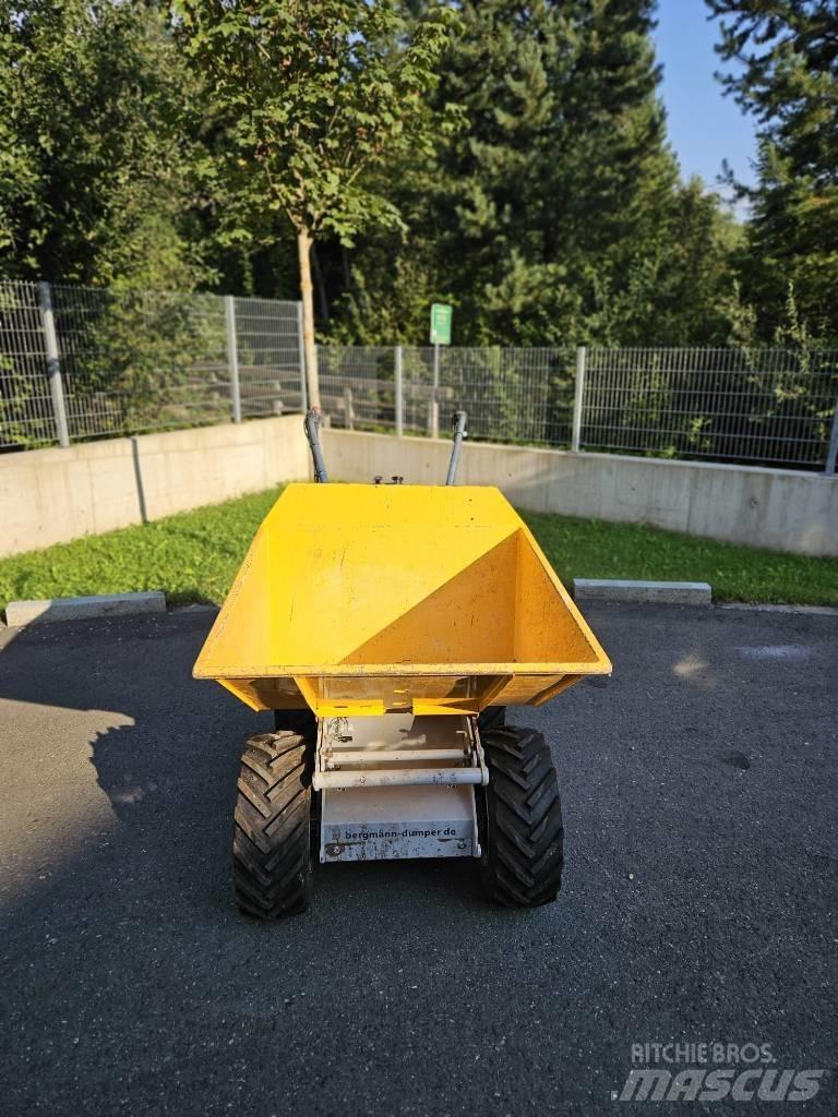 Bergmann C301S Мини-самосвалы
