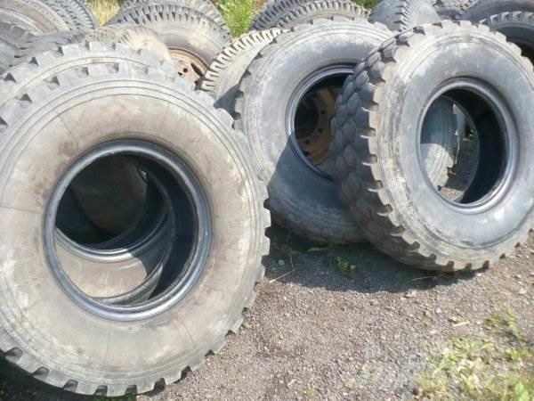 Michelin R20 365/85 XZL Строительная техника - Другие