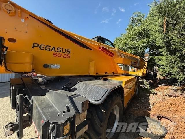 Dieci Pegasus 50.25 Телескопические погрузчики