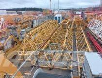 Potain MD265B1-J10 Башенные краны