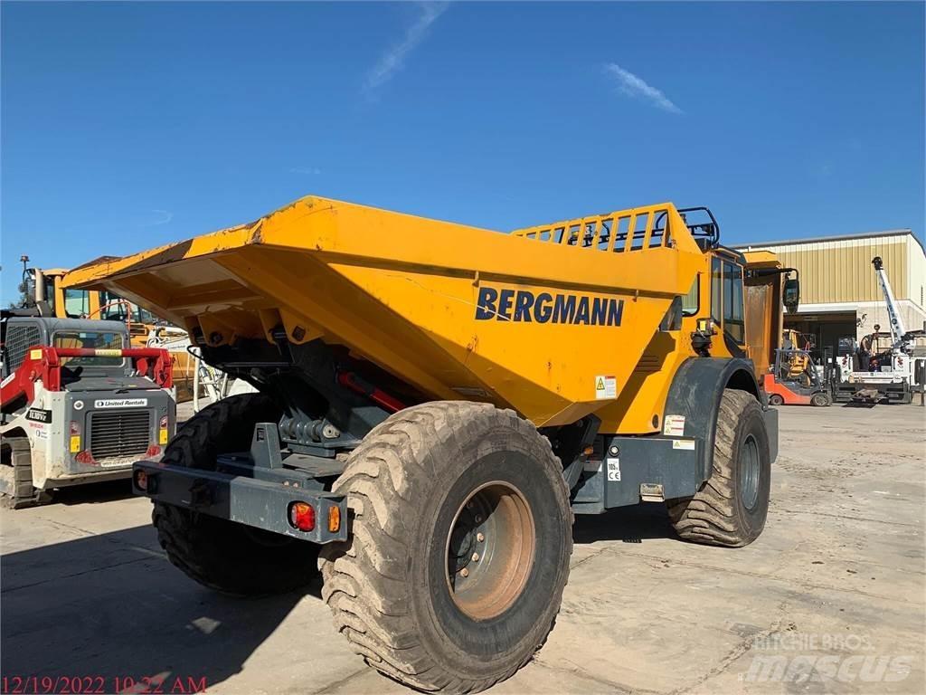 Bergmann C815S Поливочные машины