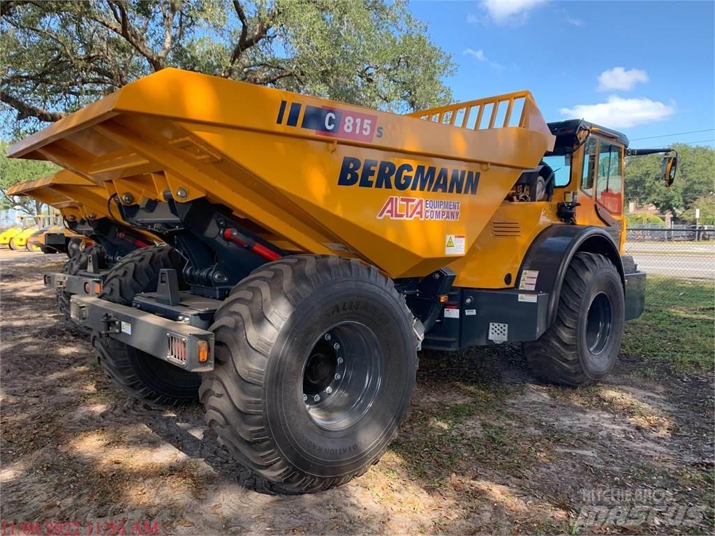 Bergmann C815S Поливочные машины