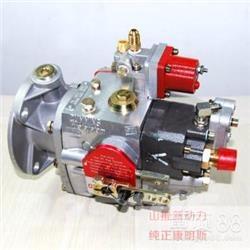 Cummins 4951451-20 Двигатели