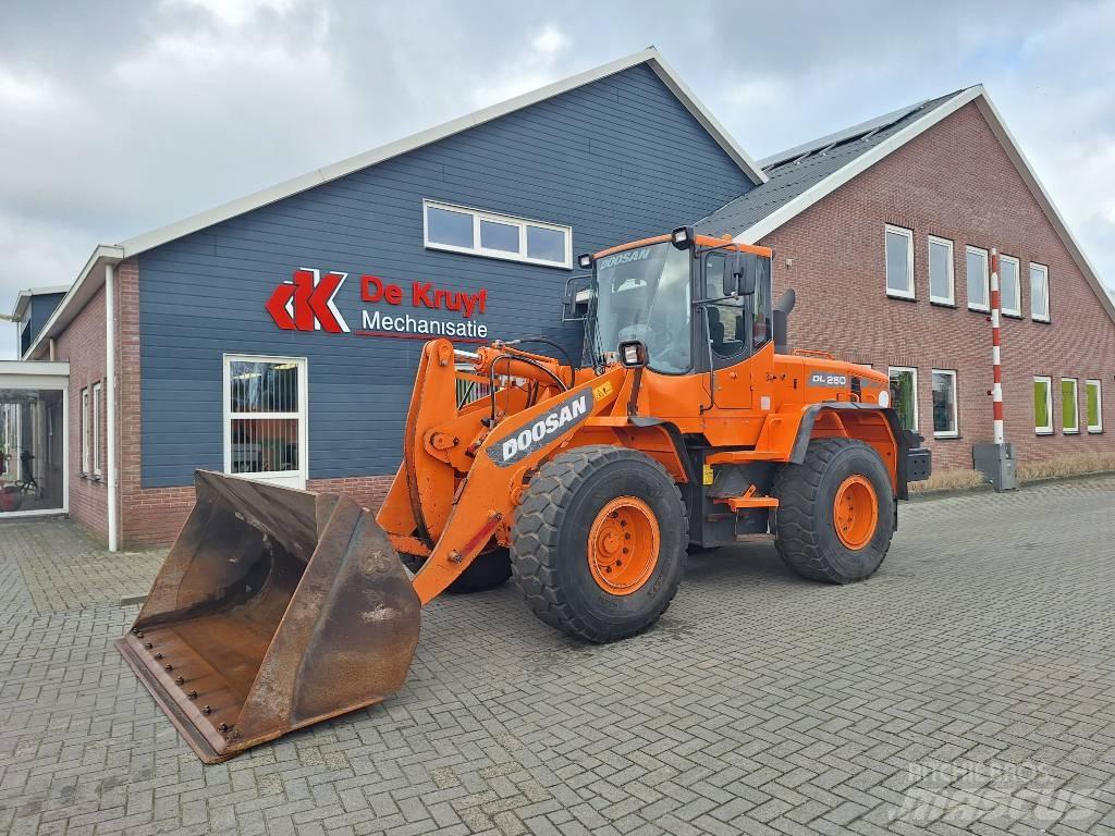Doosan DL250 Фронтальные погрузчики