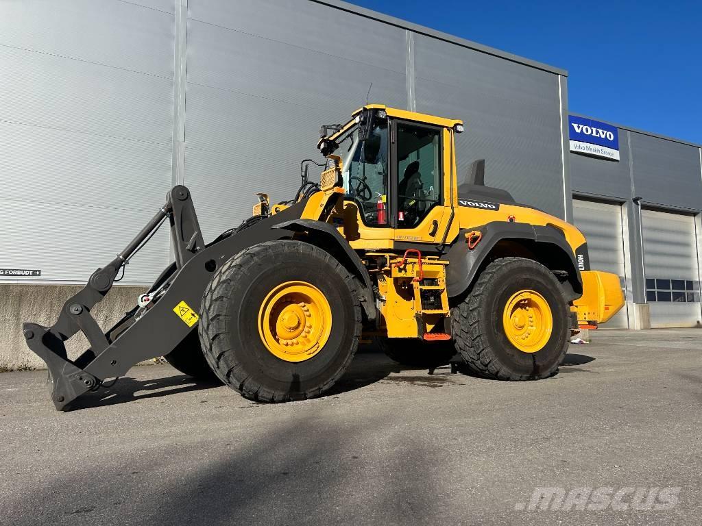 Volvo L110H Фронтальные погрузчики