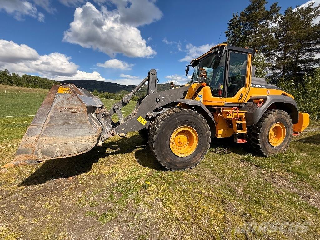 Volvo L 110 H Фронтальные погрузчики