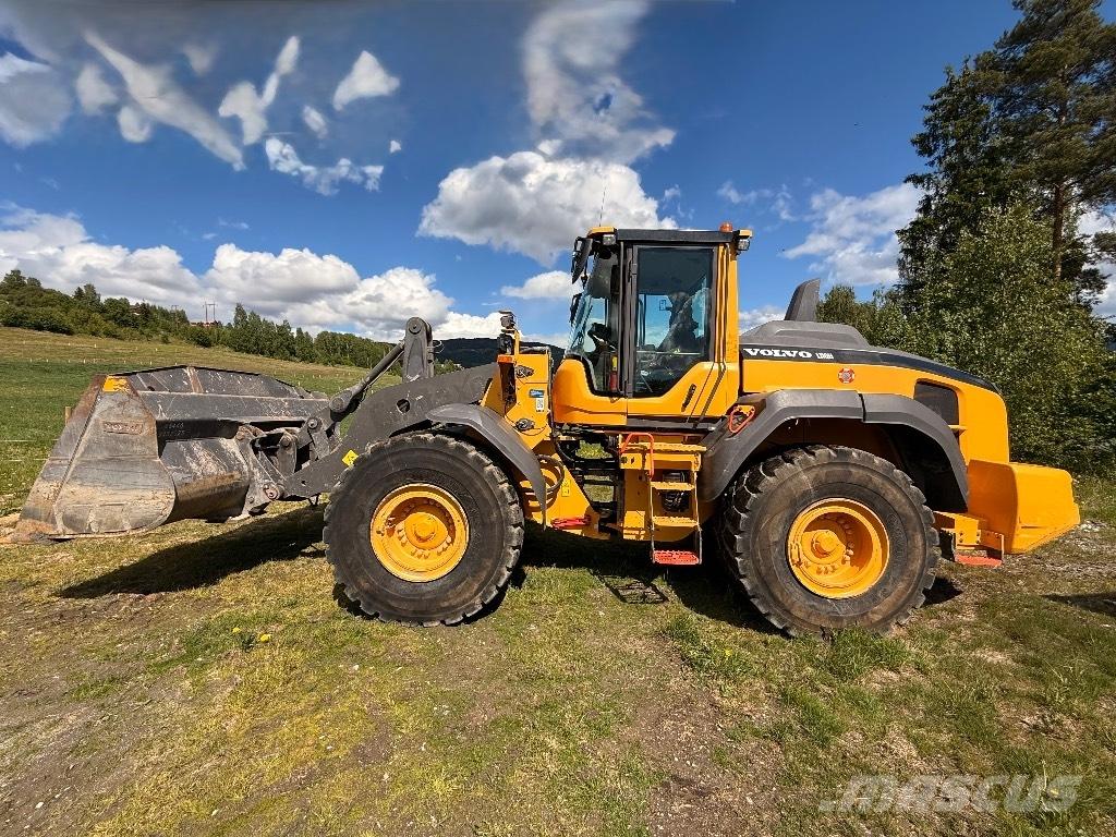 Volvo L 110 H Фронтальные погрузчики