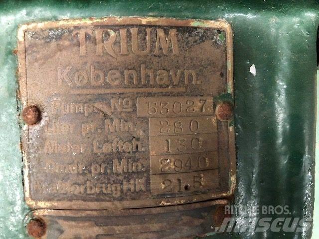  TRIUM QZKS Vandpumpe Гидронасосы