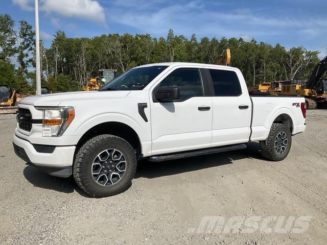 Ford F-150 Бортовые фургоны