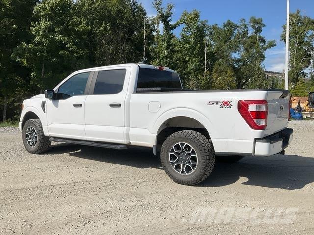 Ford F-150 Бортовые фургоны