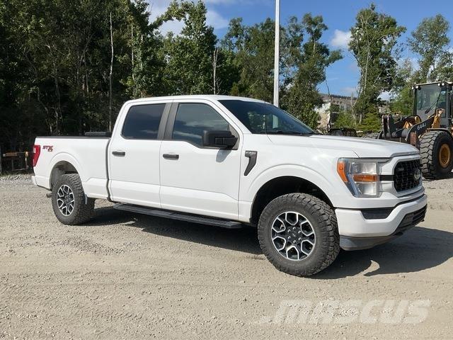 Ford F-150 Бортовые фургоны