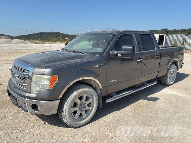Ford F-150 Бортовые фургоны