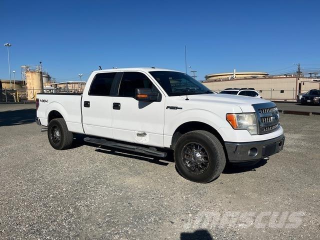 Ford F-150 Бортовые фургоны