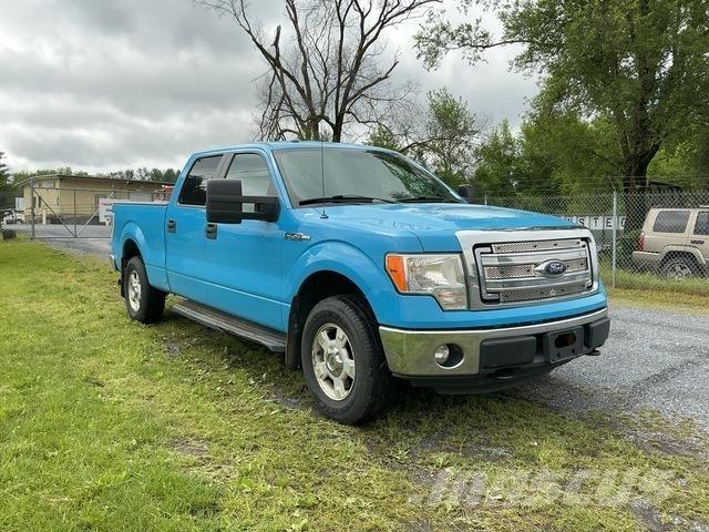 Ford F-150 Бортовые фургоны