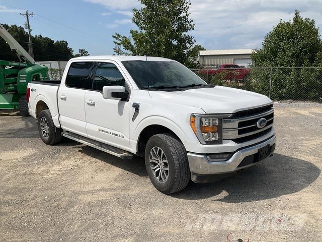 Ford F-150 Бортовые фургоны