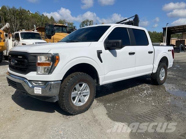 Ford F-150 Бортовые фургоны