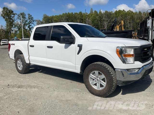 Ford F-150 Бортовые фургоны