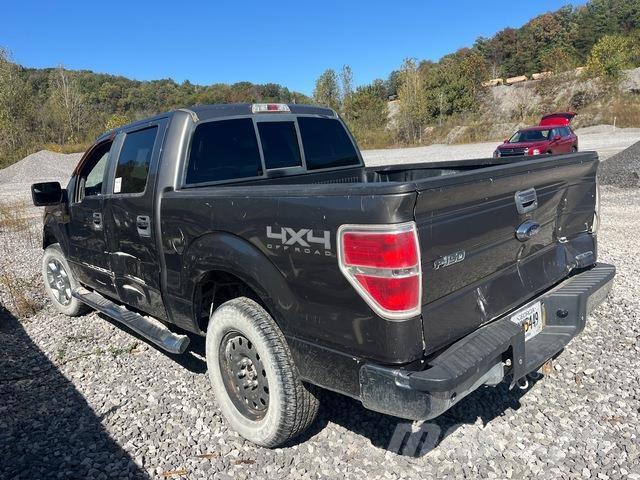 Ford F-150 Бортовые фургоны