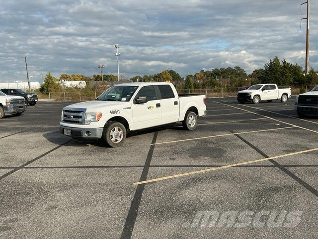 Ford F-150 Бортовые фургоны
