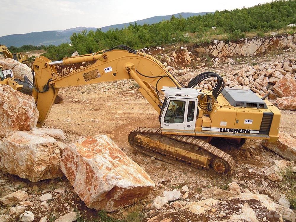 Liebherr R974BHD Гусеничные экскаваторы
