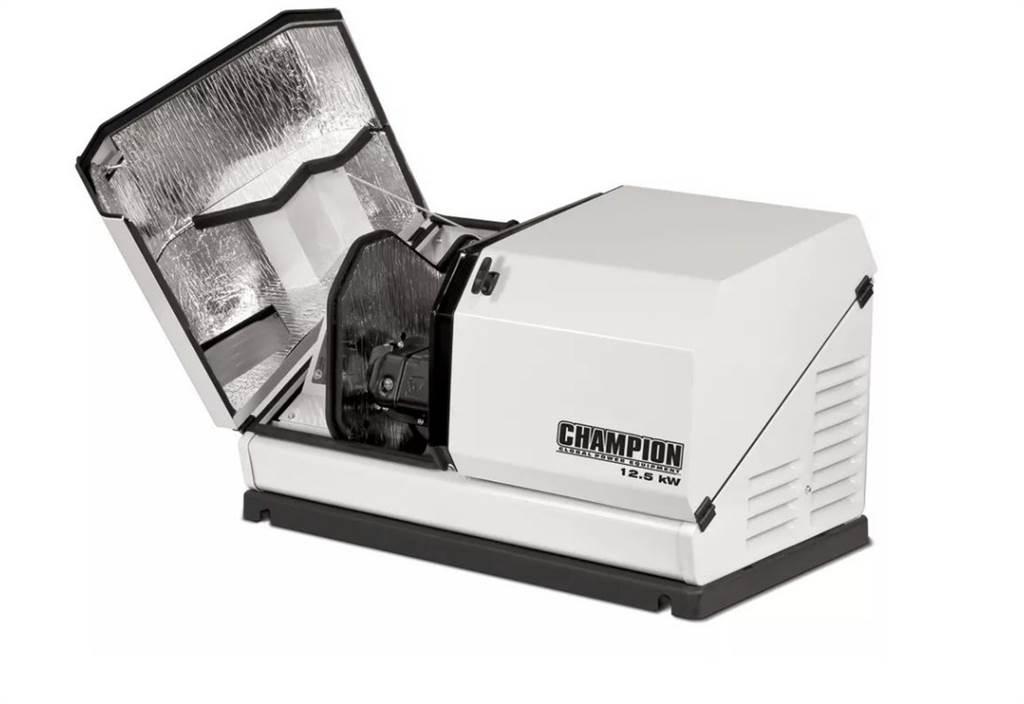 Champion 100838 Дизельные генераторы