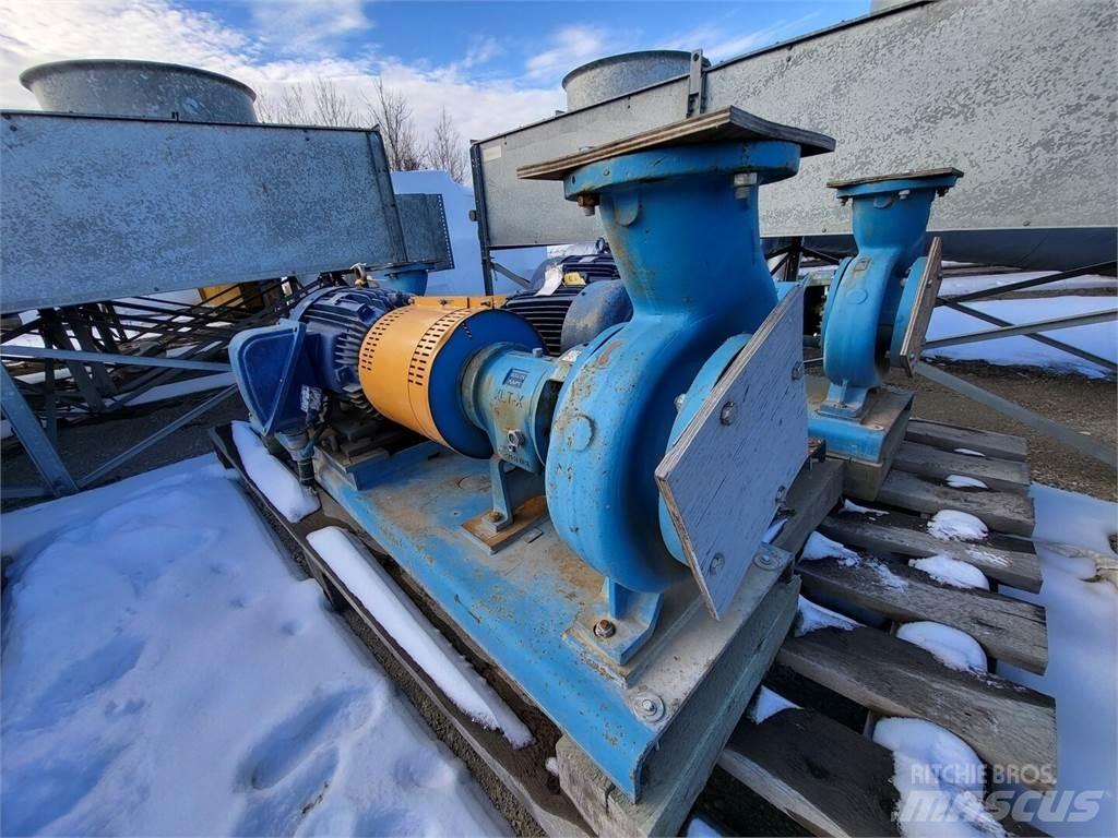  GOULDS 3196 Гидронасосы
