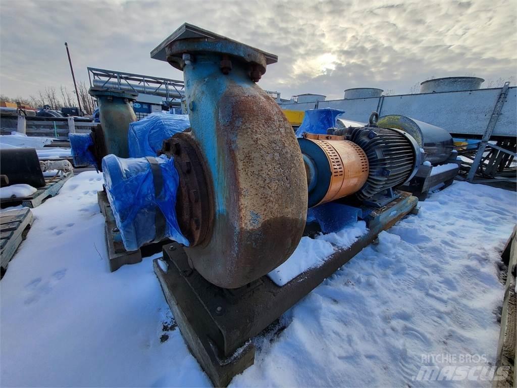  GOULDS 3196 Гидронасосы