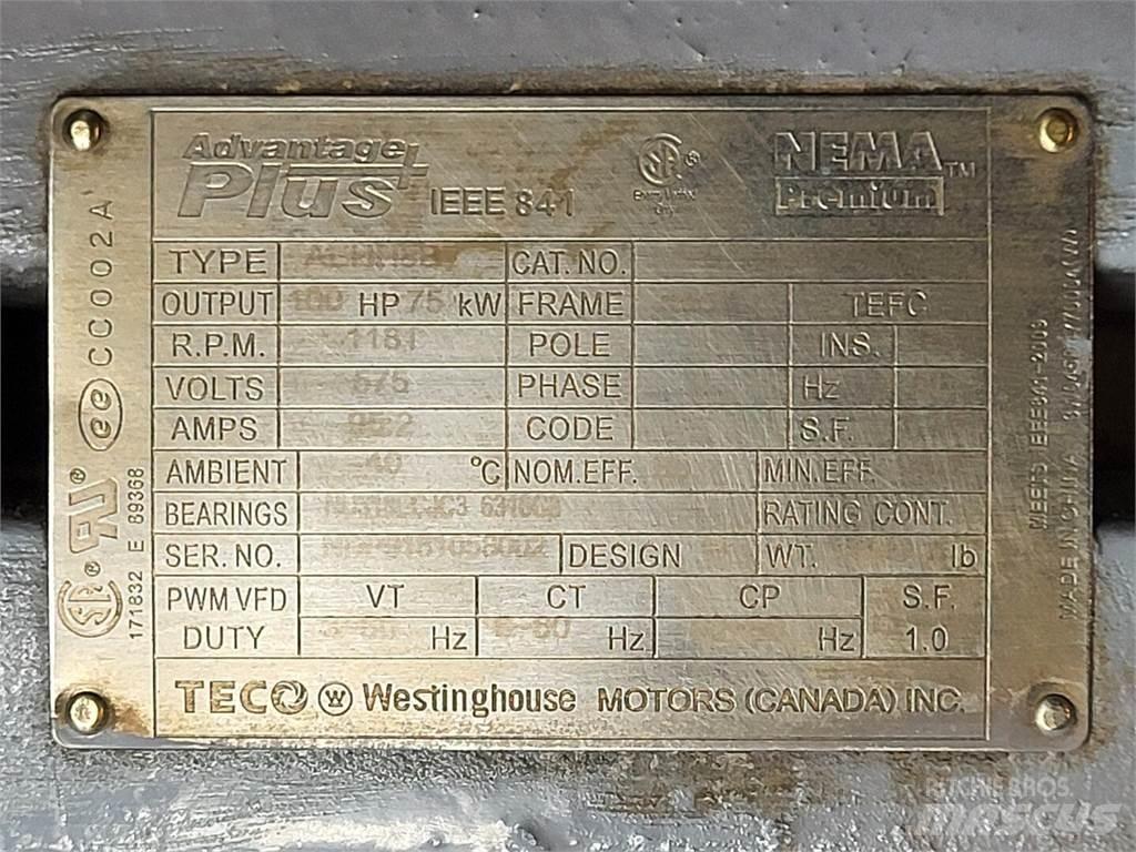  TECO-WESTINGHOUSE Промышленные двигатели