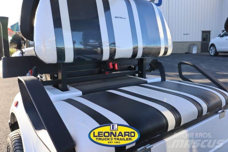  BINTELLI LSV4P Гольф-кары