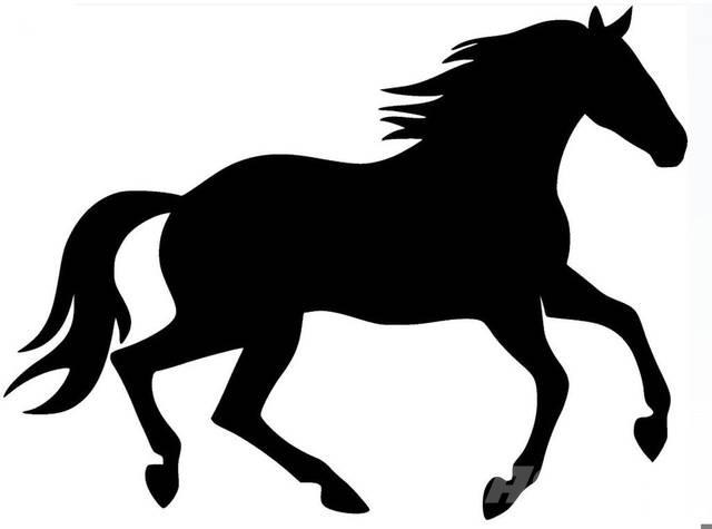  Bay Filly Строительная техника - Другие