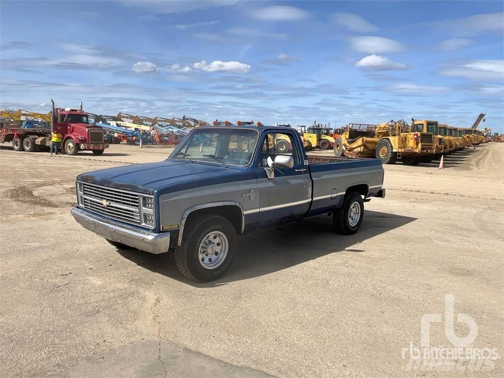 Chevrolet C10 Бортовые фургоны
