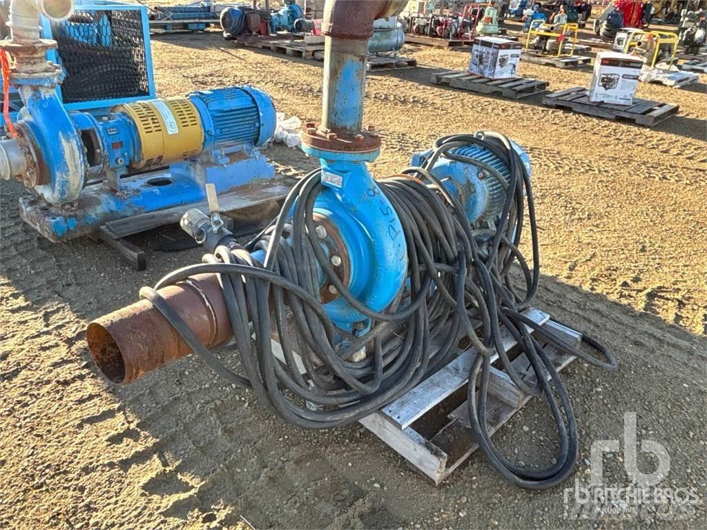  GOULDS 3196 Гидронасосы